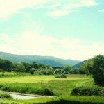 View from lounge
