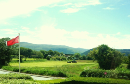 View from lounge